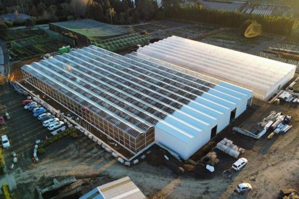 image of 3800 m² Glasshouse and Shed (Propagation)