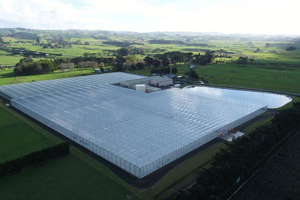 image of 30,000 sqm Glasshouse