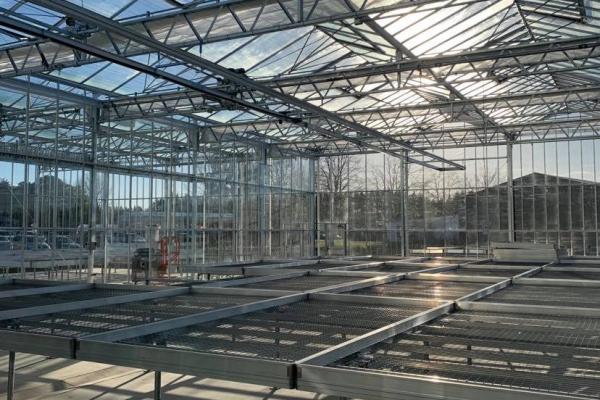 image of 800 m² Glasshouse and Shed (Propagation)